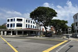Changi Road (D14), Shop House #607435411